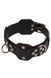 VIP Leather Collar, Black