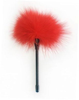 Пір&rsquo;я для забавок Feather Tickler, Red 281345 фото