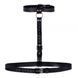 Гартер Double Ring of Humiliti, Black 280440 фото