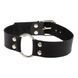 Нашийник Passion, Smooth Black 280204 фото